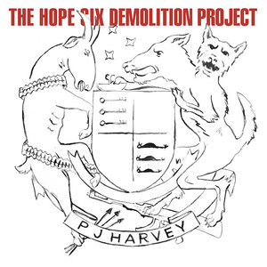 The Hope Six Demolition Project (第六希望摧毁计划)
